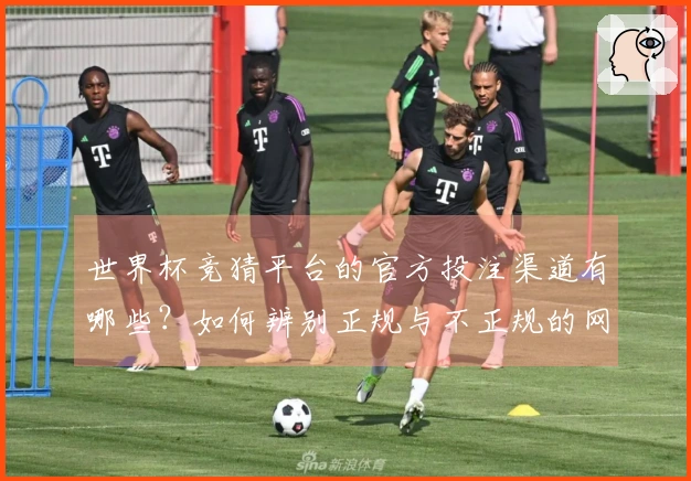 世界杯竞猜平台的官方投注渠道有哪些？如何辨别正规与不正规的网站？