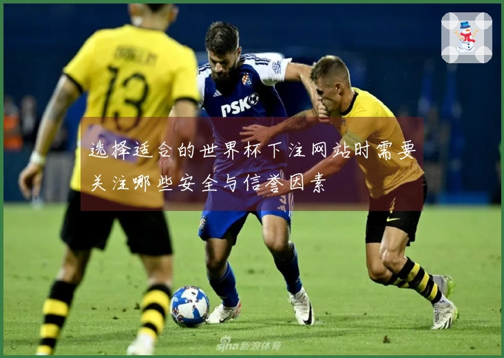 选择适合的世界杯下注网站时需要关注哪些安全与信誉因素