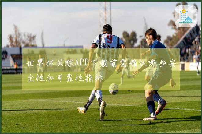 世界杯买球APP下载前需确认哪些安全性和可靠性指标