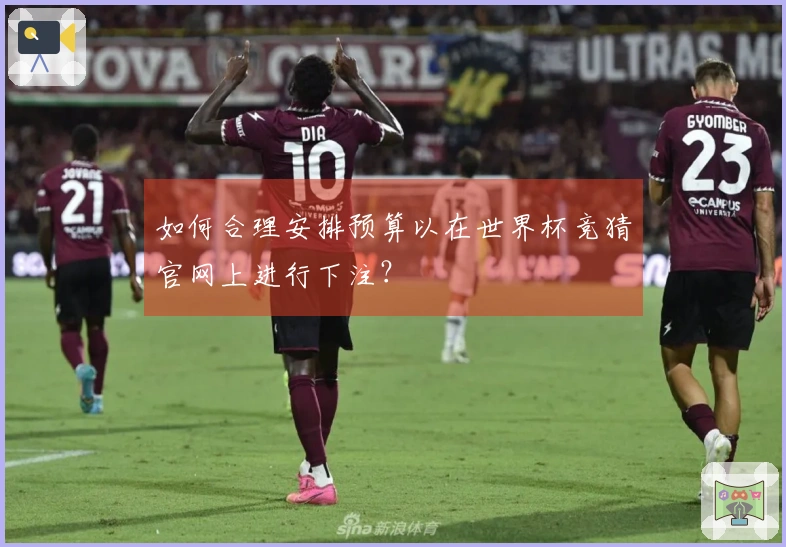 如何合理安排预算以在世界杯竞猜官网上进行下注？